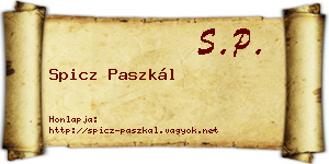 Spicz Paszkál névjegykártya